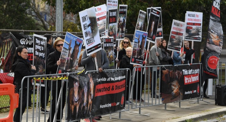 race horse slaughter protest