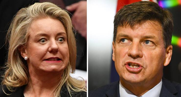 bridget mckenzie angus taylor