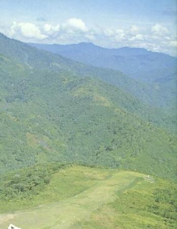 jungles-strip An overview of the Kagi airstrip which is the nearest to the reported crash site as posted on Pprune.org this morning