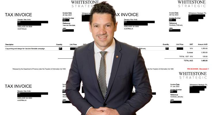 Senator Alex Antic; Whitestone Strategic invoices (Image: Supplied/Senator Alex Antic)