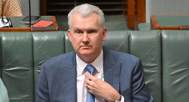 Industrial Relations Minister Tony Burke (Image: AAP/Mick Tsikas)