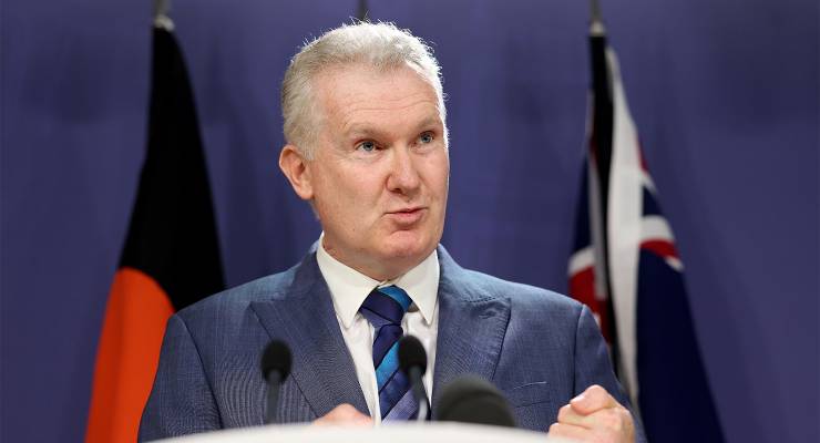 Employment Minister Tony Burke (Image: AAP/Toby Zerna)
