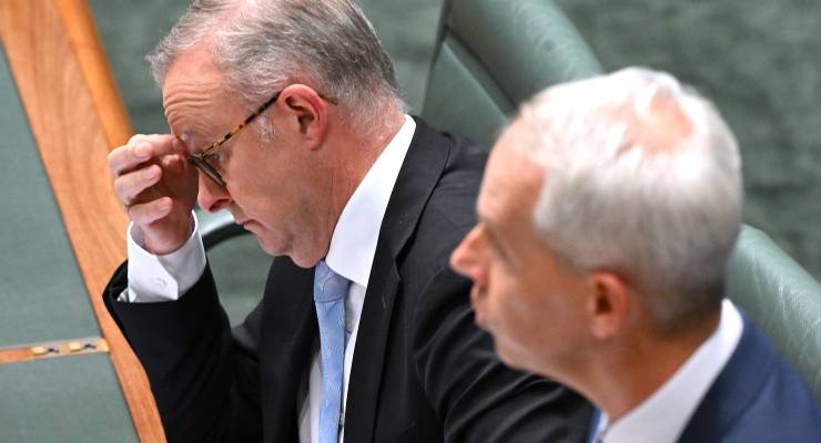 Anthony Albanese and Immigration Minister Andrew Giles (Image: AAP/Lukas Coch)
