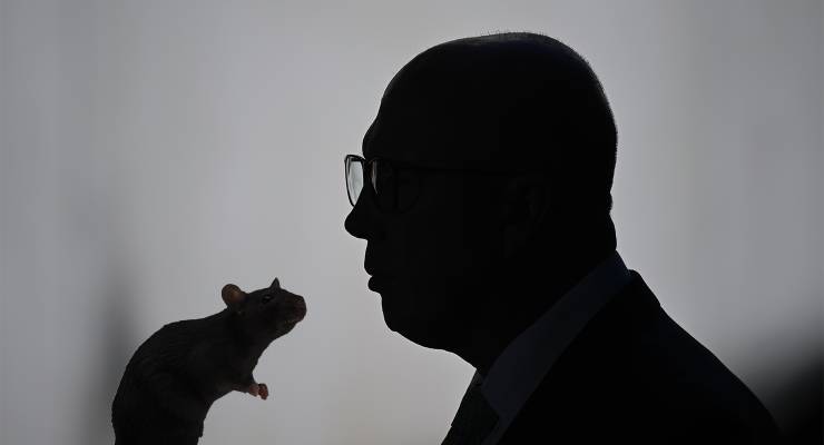 Peter Dutton and a rat (Image: Private Media/AAP/Adobe)