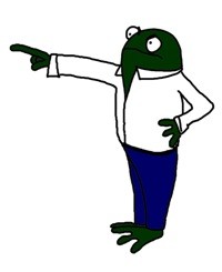 frog211
