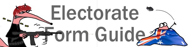 Electorate form guide