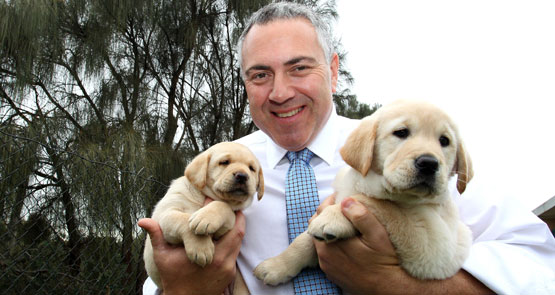 Joe Hockey puppies