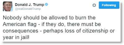 trumpflagburning