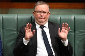 Anthony Albanese