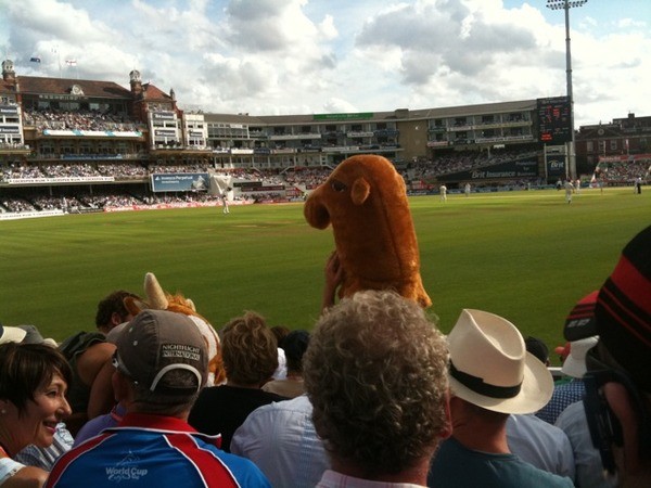 The best looking guy at The Oval on Day One