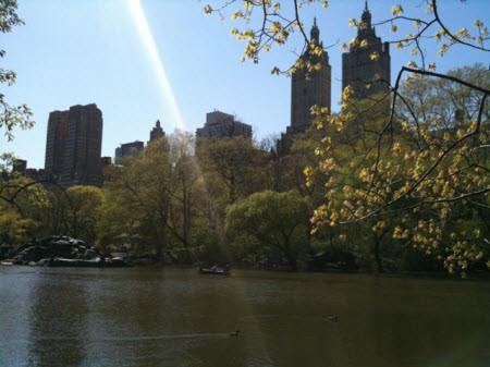 Central Park