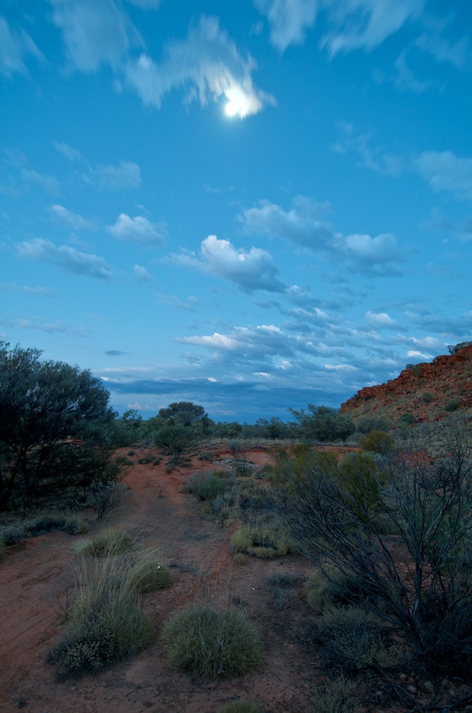 Moonscape, outside Yuendumu, 2009