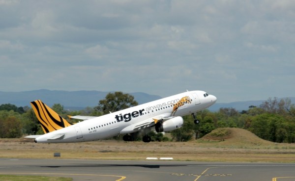 Leaping Tiger at Rockhampton Airport, photo by David Blackwell