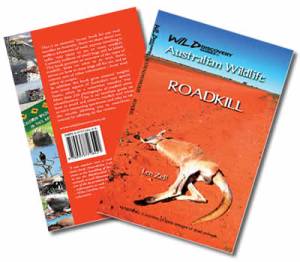 roadkill