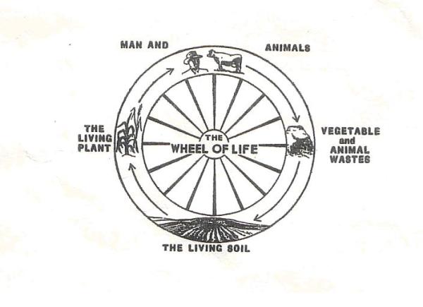 The Wheel of Life