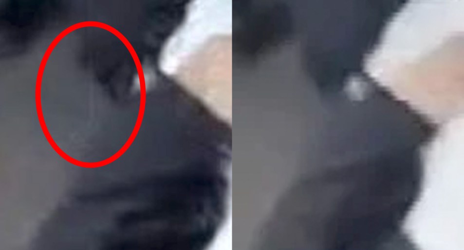 The AI-edited image of Barnaby with thin, white artifact remaining from the Daily Mail Australia's watermark, circled by Crikey (left) next to a still without the artefact published by The Sydney Morning Herald, which also obtained the video (Image: Supplied/ Nine)